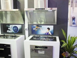 家麗雅亮相2010順德家電展 廚衛(wèi)家電引領(lǐng)智能生活新風(fēng)尚